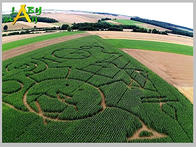 Un labyrinthe de maïs dans un parc de loisirs pour une sortie en famille au top ; à le Hérie-la-Viéville dans la région Hauts-de-France