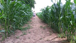 1ère saison du labyrinthe