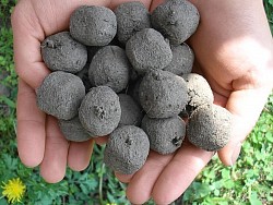 boules a graines