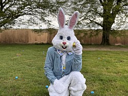 chasse aux oeufs de paques  lapin